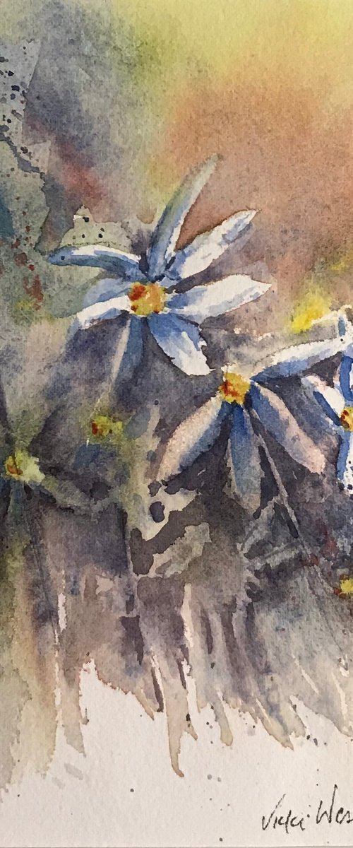 Cottage garden by Vicki Washbourne