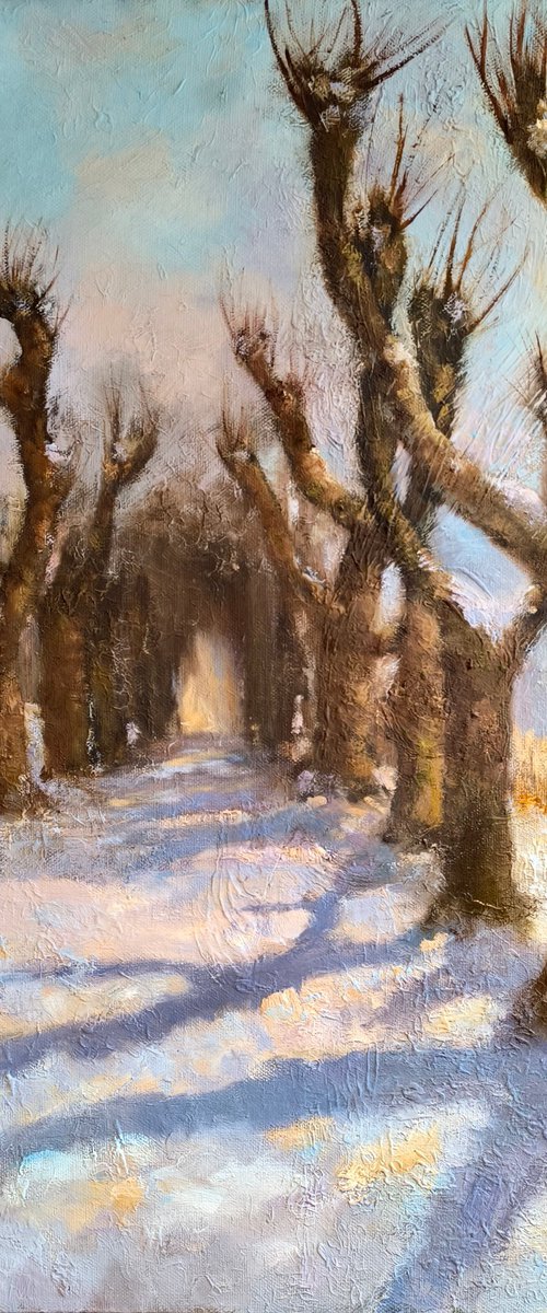 Linden Alley. Winter by Svetlana Grishkovec-Kiisky