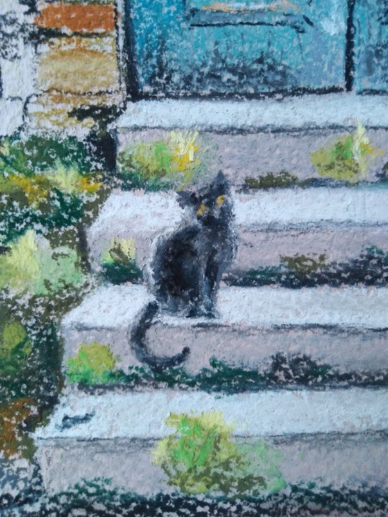 A cat at an old turquoise door