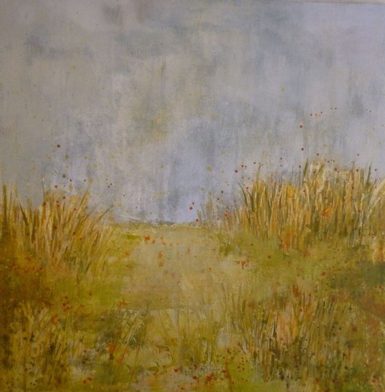 Grassy Marshlands