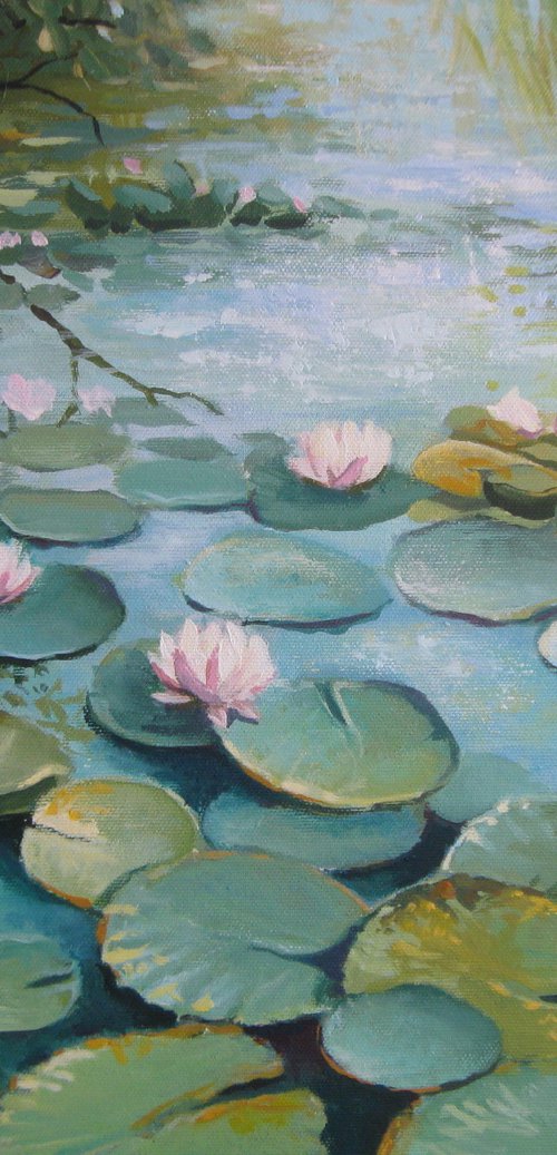 Water lily pond by Elena Oleniuc