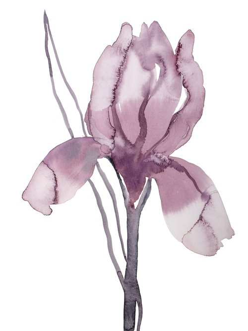Iris No. 193 by Elizabeth Becker