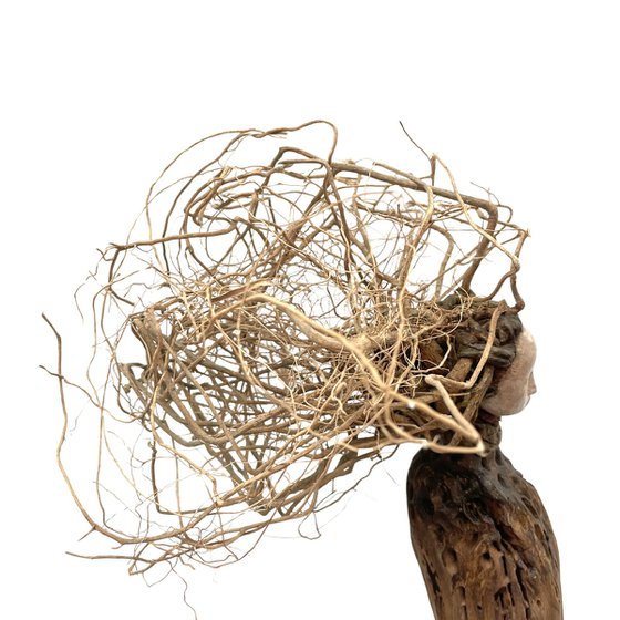 Dryad, Ostréïdes series