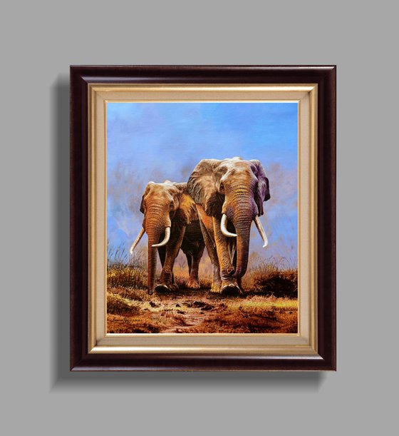 Wild Elephants 2