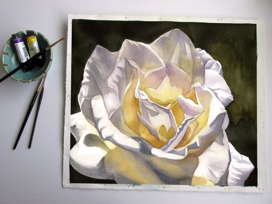 white rose watercolor floral