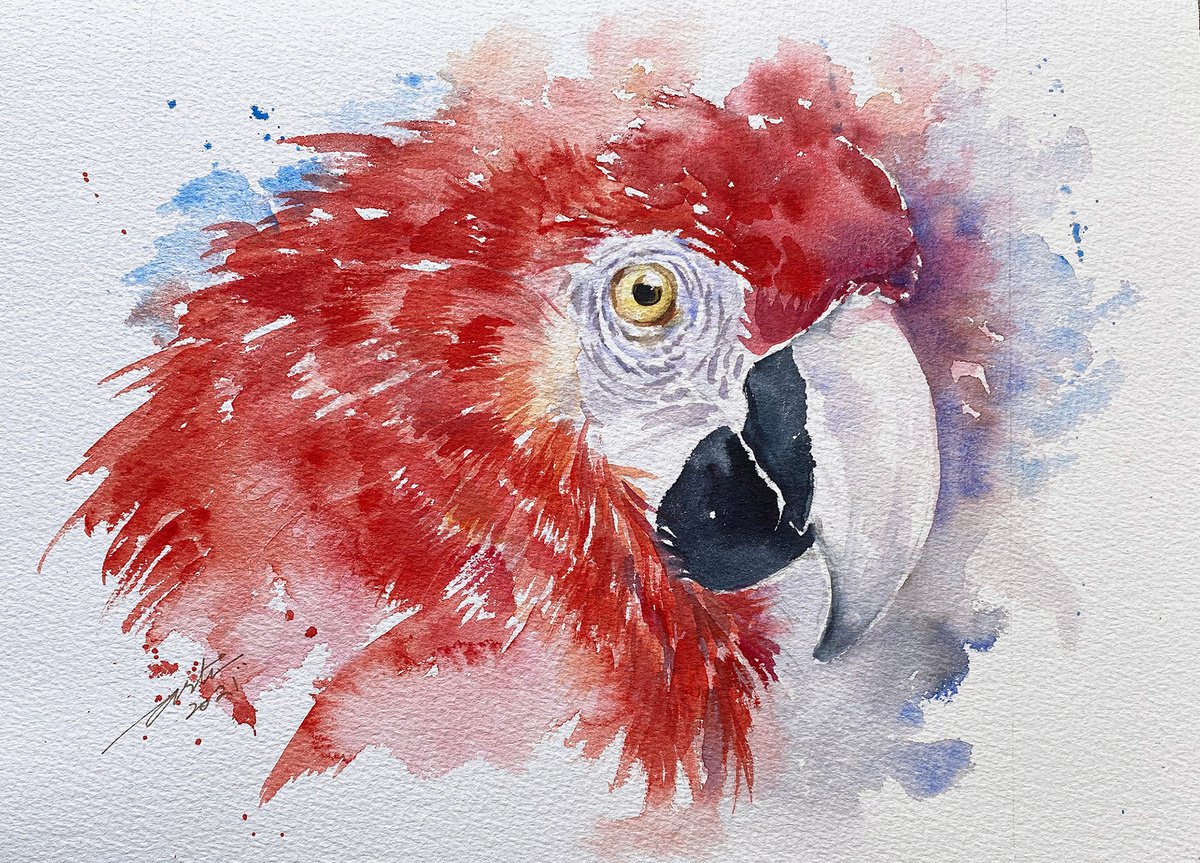 Red Macaw by Arti Chauhan