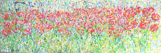 Red Tulip Meadow
