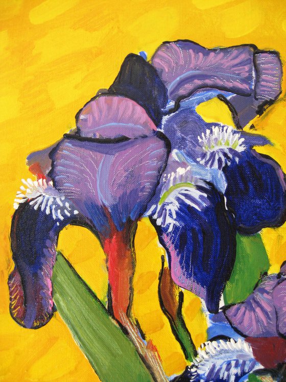 Irises (2)
