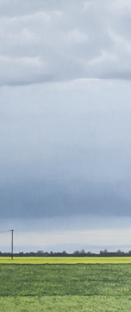 Storm Clouds Over Green Fields by Christopher Witchall