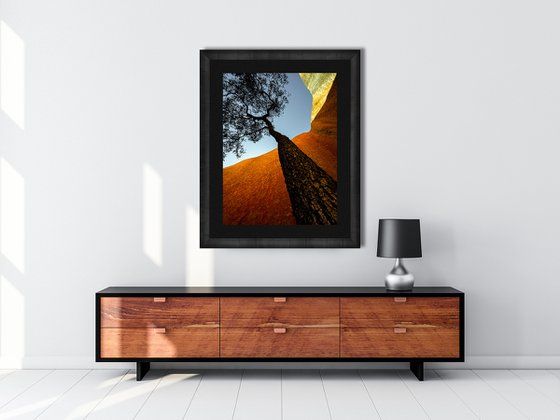 Uluru Jarrah