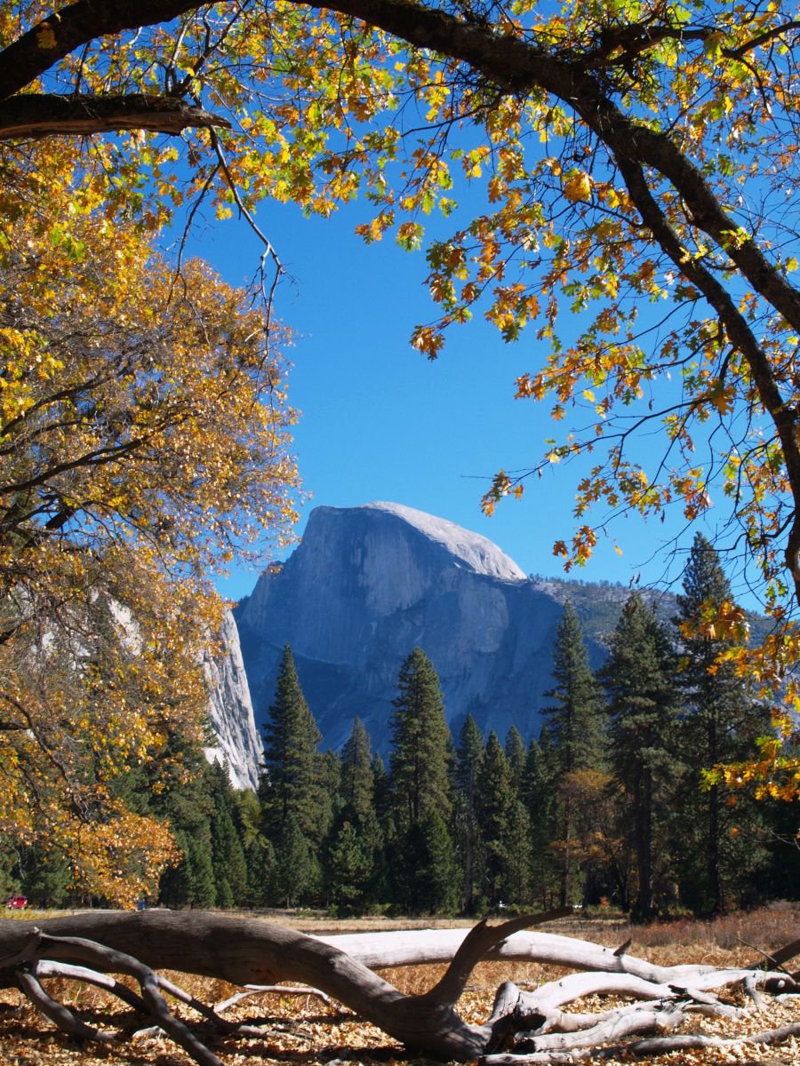 Half Dome in Yosemite by Alex Cassels