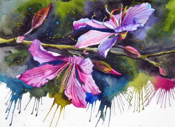 Expressive bauhinia