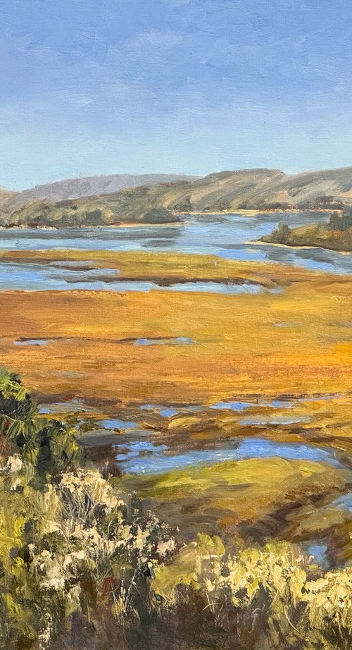 Walker Creek Marshes At Tomales Bay by Tatyana Fogarty