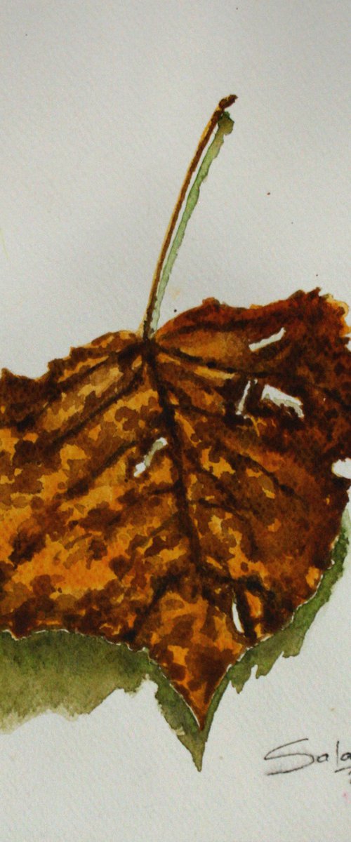 Dry Leaf /  ORIGINAL PAINTING by Salana Art Gallery