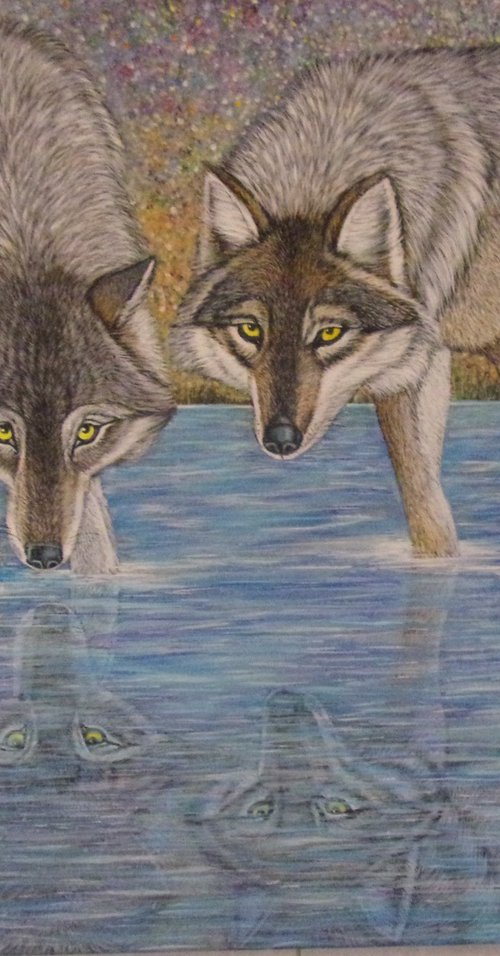 Wolves Reflection by Sofya Mikeworth