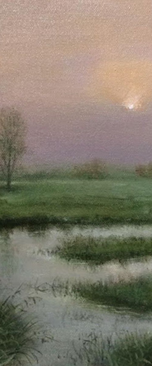 Meadows9 by Vishalandra Dakur