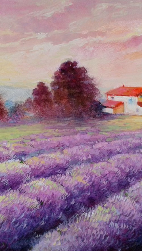 Lavender fields of Provence by Vladimir Lutsevich