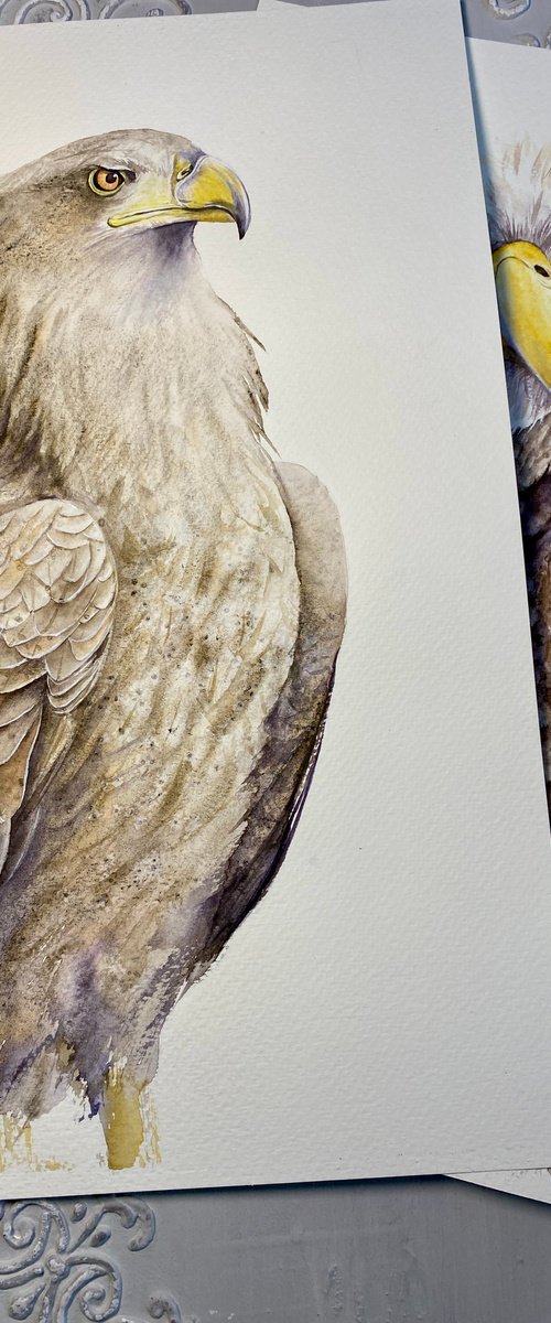 Hawk, eagle, falcon wild birds in gray brown shades by Tetiana Savchenko