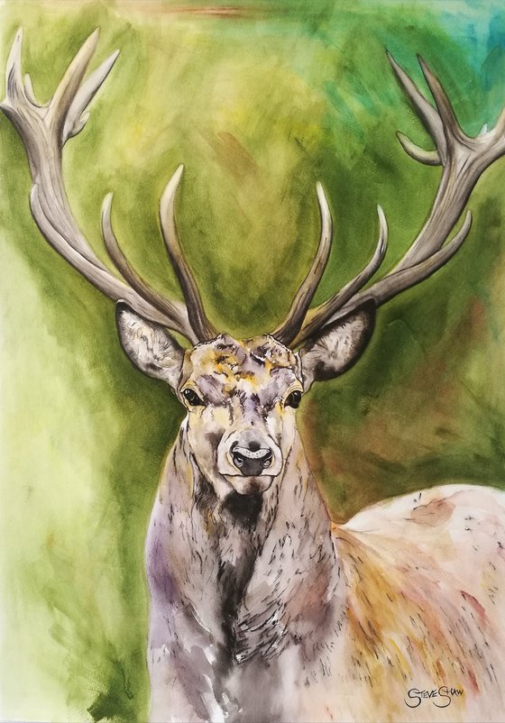 Dignified Being. Watercolour Stag Painting on Paper. 42cm x 59.4cm. Free Shipping