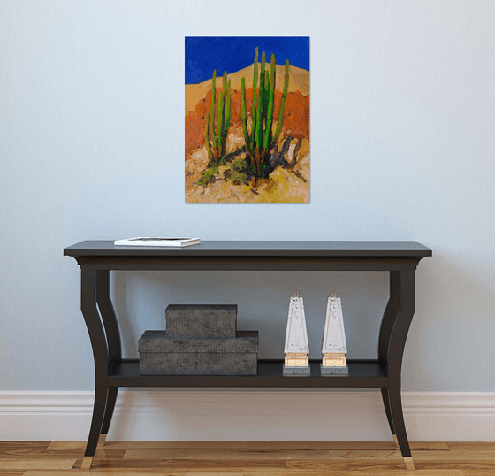 Bright Summer Day. Cactuses in the Desert.