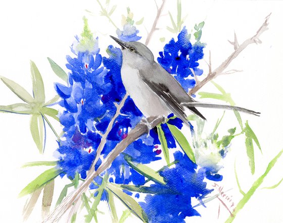 Mockingbird and Bluebonnet