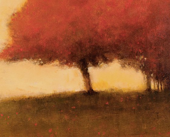 Red Maple Trees 191003