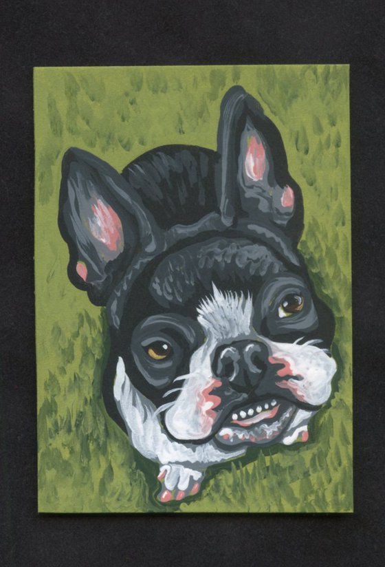 ACEO ATC Original Painting Black French Bulldog Pet Dog Art-Carla Smale