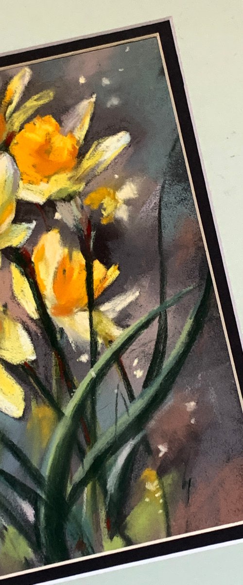 Yellow Daffodils Soft Pastels Drawing by Sophie Rodionov