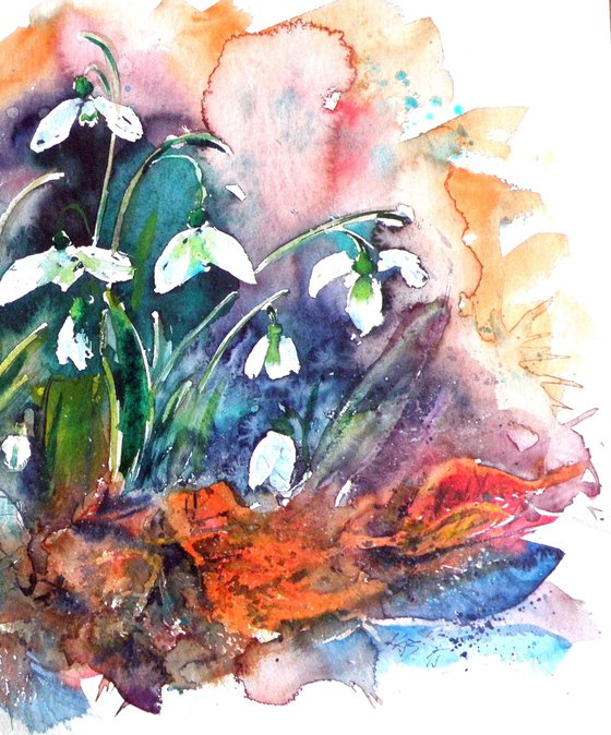 Snowdrops II