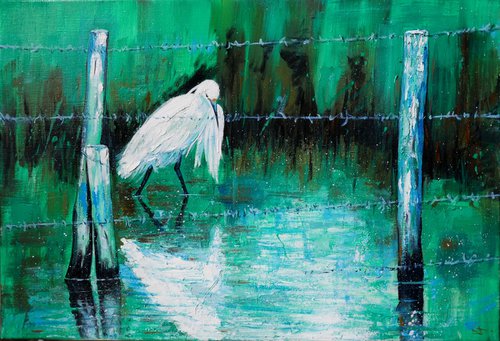 Egret in Camargue behind barbed wire by Lionel Le Jeune