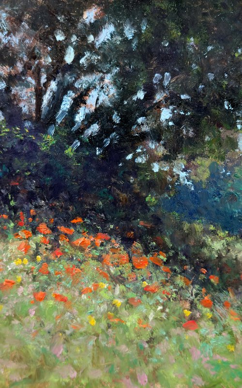 Champ des Iscles by Pascal Giroud