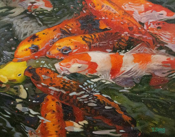 Koi fishes in water