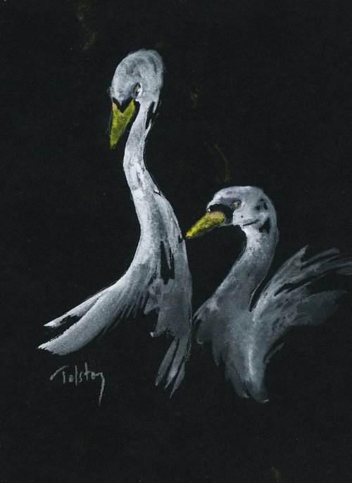 Two Swans by Alex Tolstoy