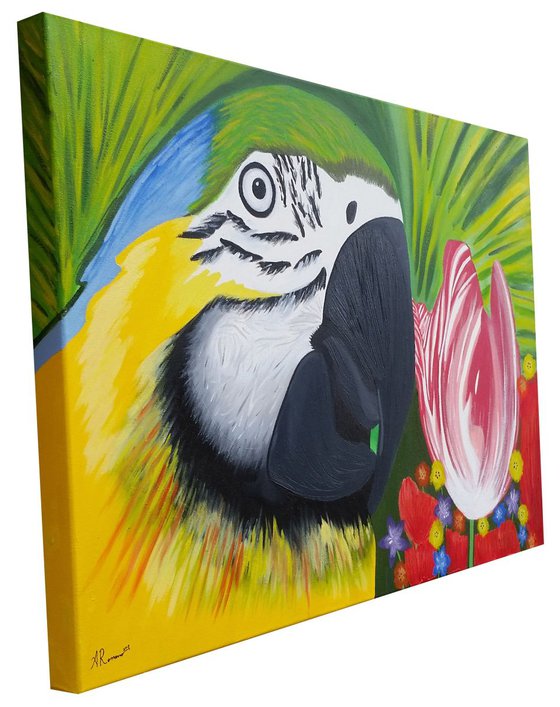 Bird of Paradise