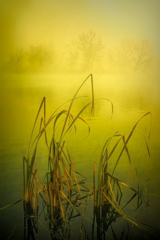 Misty Lake