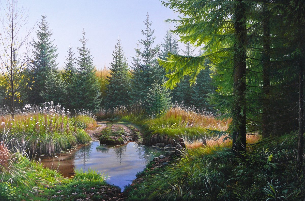A ford way at the edge of the forest by Mlynarcik Emil