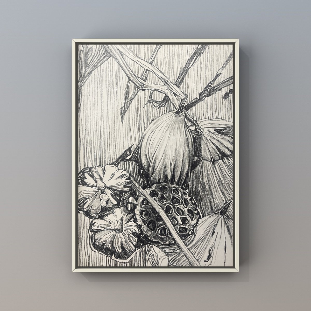 Graphic Botanical Pencil Drawing By Guzel Min, 8 X 12, Lotus Pods And Leaf. Pond, Original Artwork