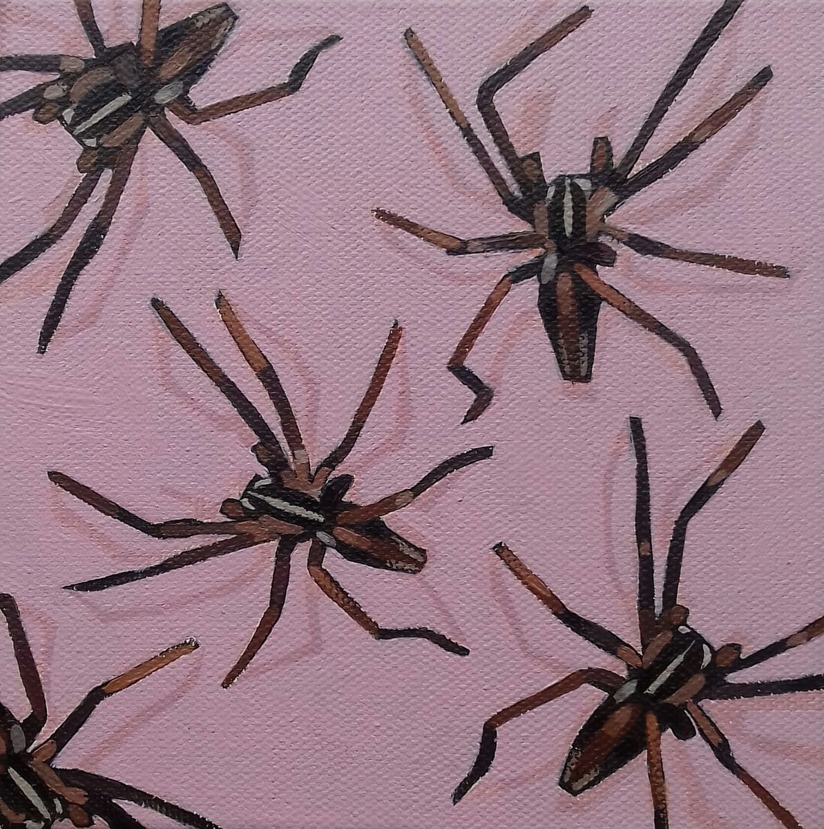 Spiders by Matthew Stutely