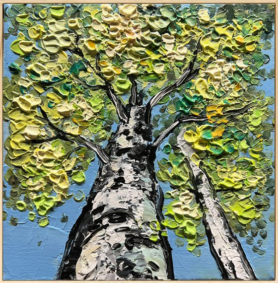 Birches Season Collection