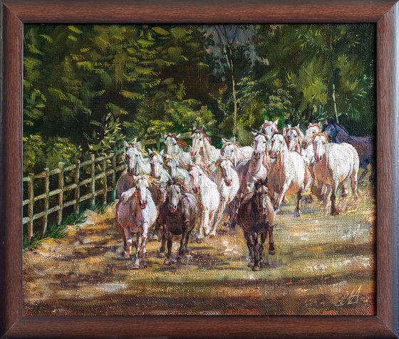 White Horses