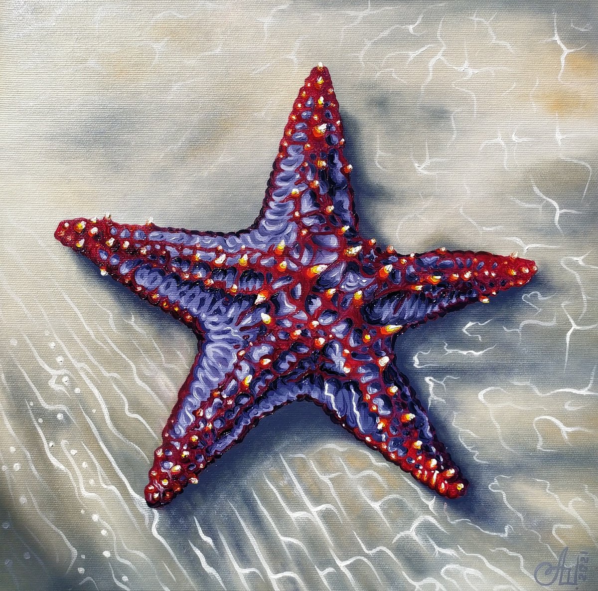 Photorealistic Landscape Oil Painting By Anna Shabalova, 14 X 14, Starfish, Original Artwork