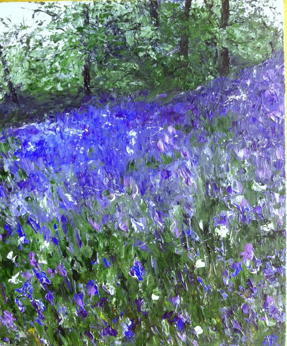 Bluebell wood