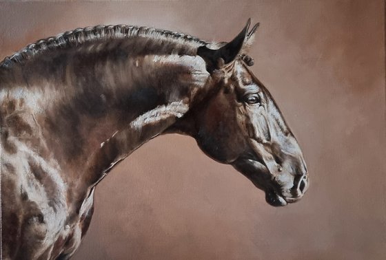 My spirited horse...