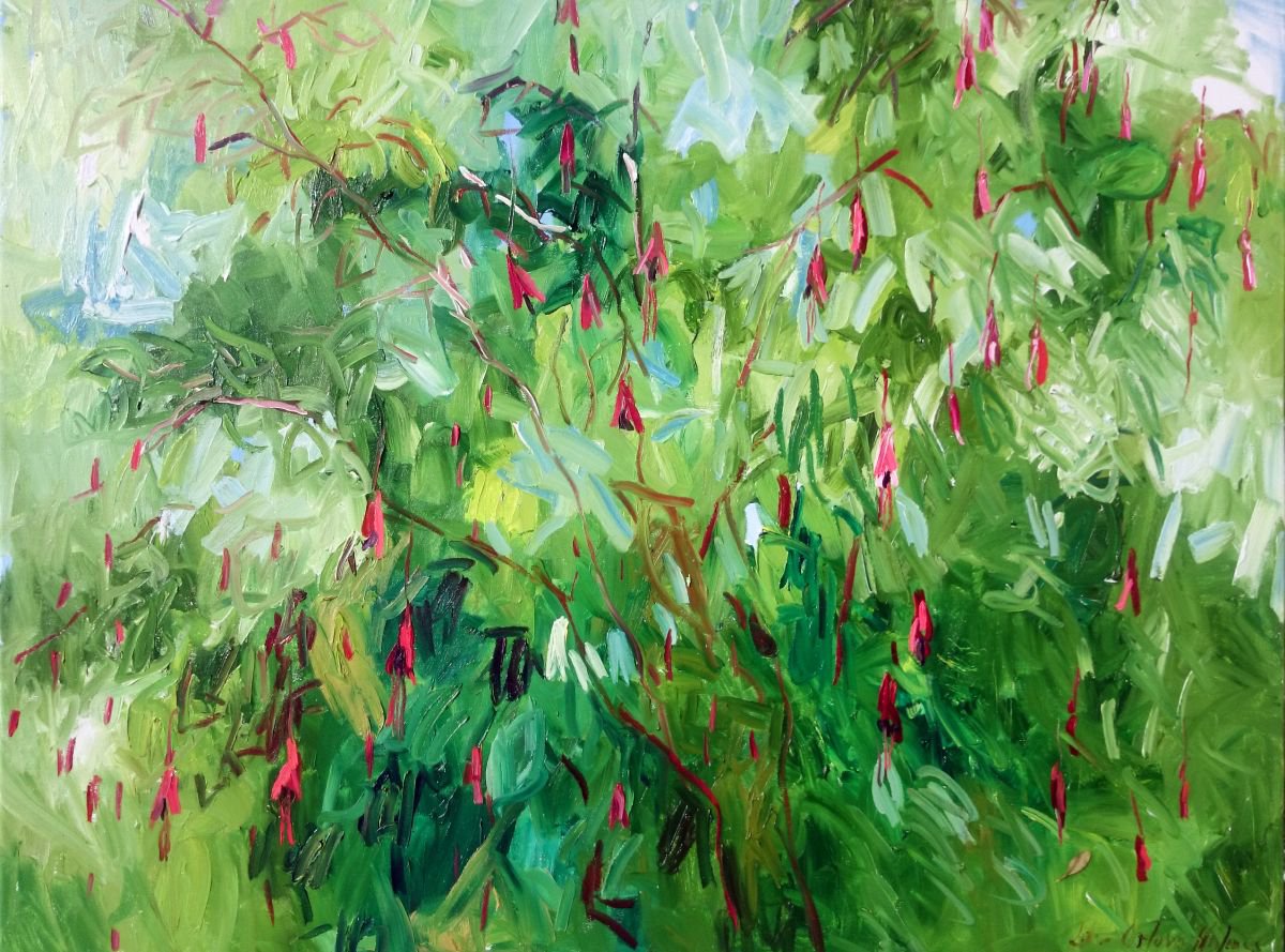 Fuchsia. by Lilia Orlova-Holmes