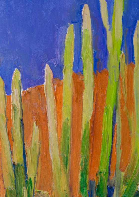 Cactuses in the Desert