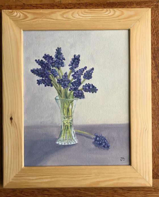 Grape Hyacinth in Oil