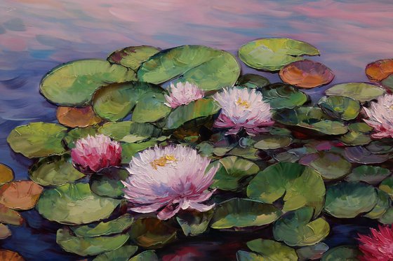 "Water lilies on the water"