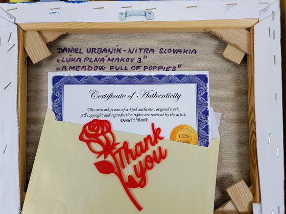 A Meadow Full Of Poppies 3