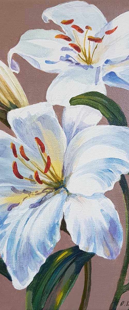 White Lilies by Olga Lomax