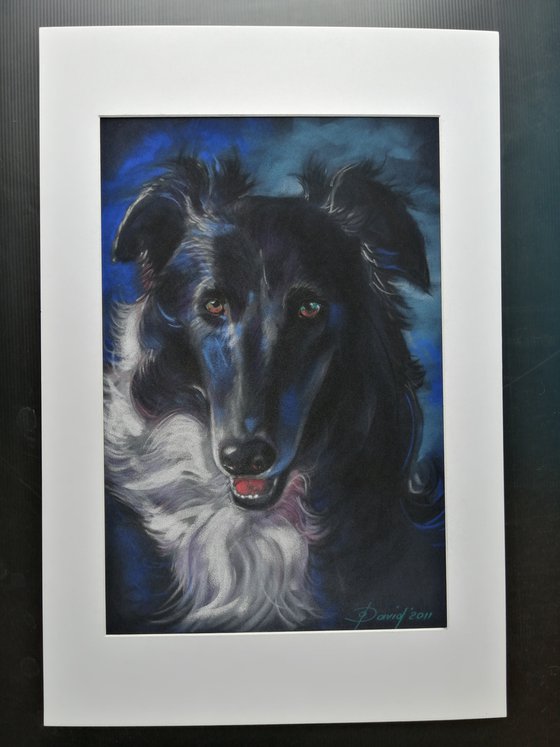 Original pastel drawing of a Borsoi, Wippet, Greyhound.